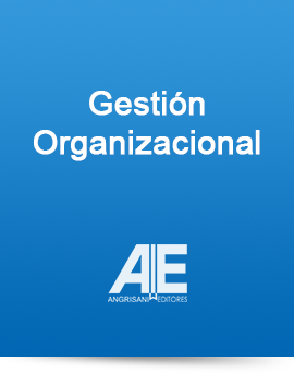 Gestión Organizacional